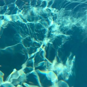 Meet your Posher, Heidi